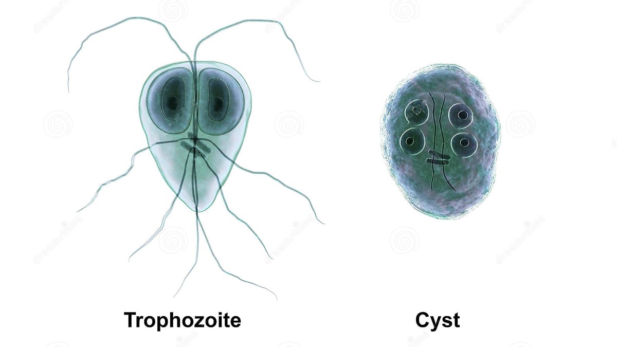 about_water_5-min Φίλτρα Νερού Πάτρα | TopWaterFilers